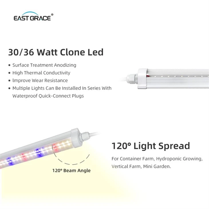 200LEDs T8 Waterproof Clone Light best