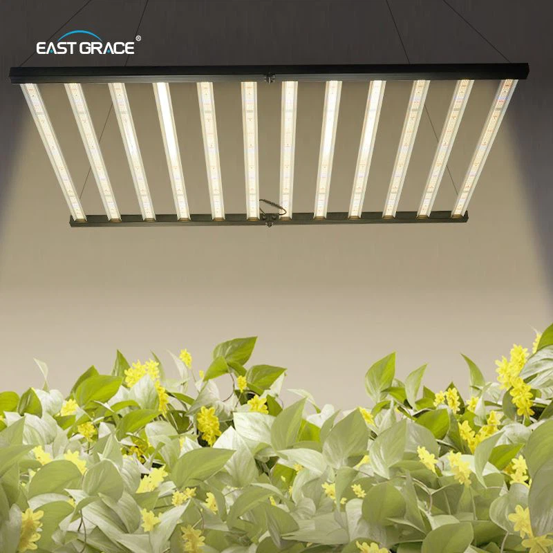 High Power LED Grow Lamp For Indoor Vertical Farming
