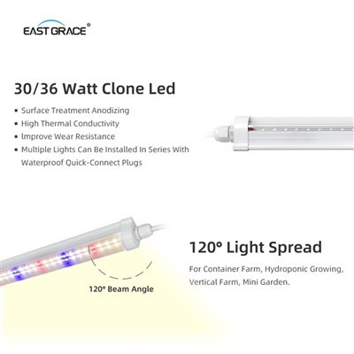 کلون نوار LED لوله T8 LIGHT برای توت فرنگی داخلی