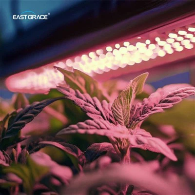 productcate-400-400 Customized Spectrum Available 6252 Triproof Grow Light Bar