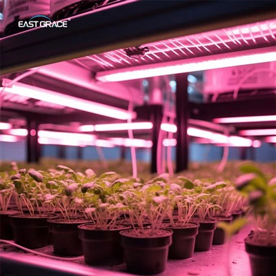 productcate-400-400 T102 Triproof Grow Light